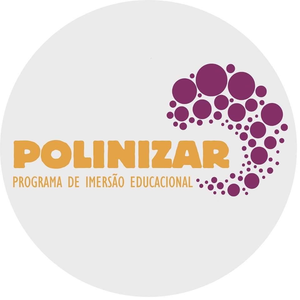 Programa de imersão Educacional Polinizar